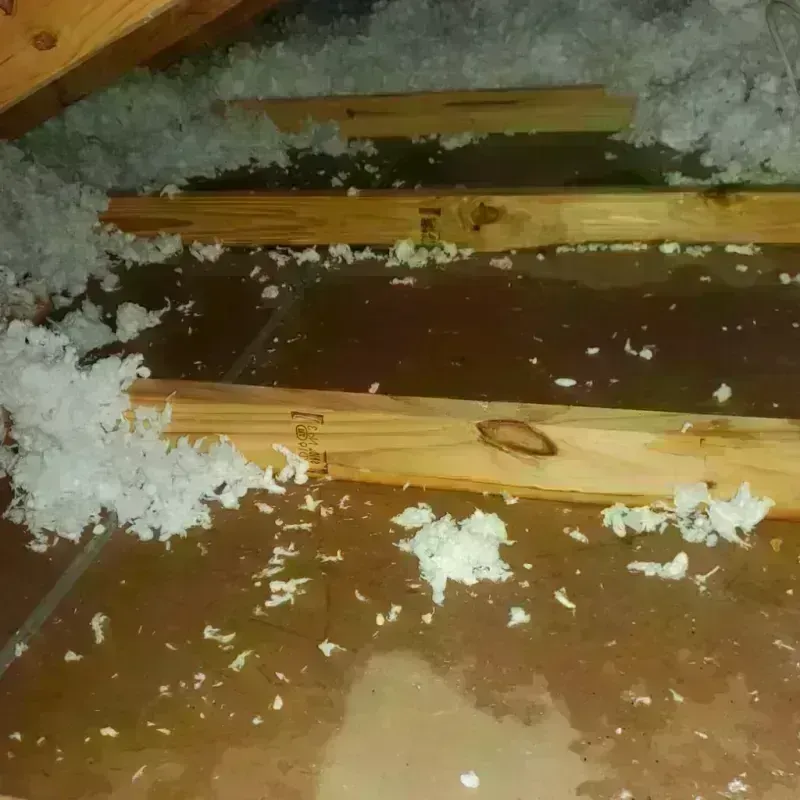 Attic Water Damage in Somerville, TN